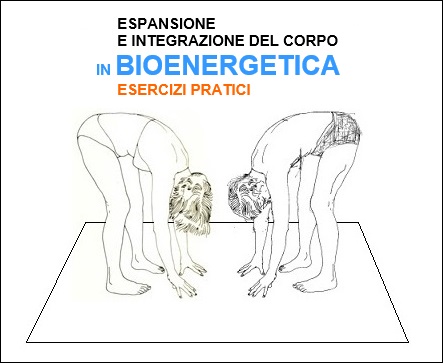 Bioenergetica-01f1